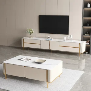 Zennova Home's Platinum TV Stand